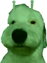 Glorpie Dougie